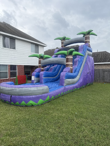purple-crush-water-slide-6
